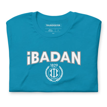 Ibadan Nigeria Unisex t-shirt