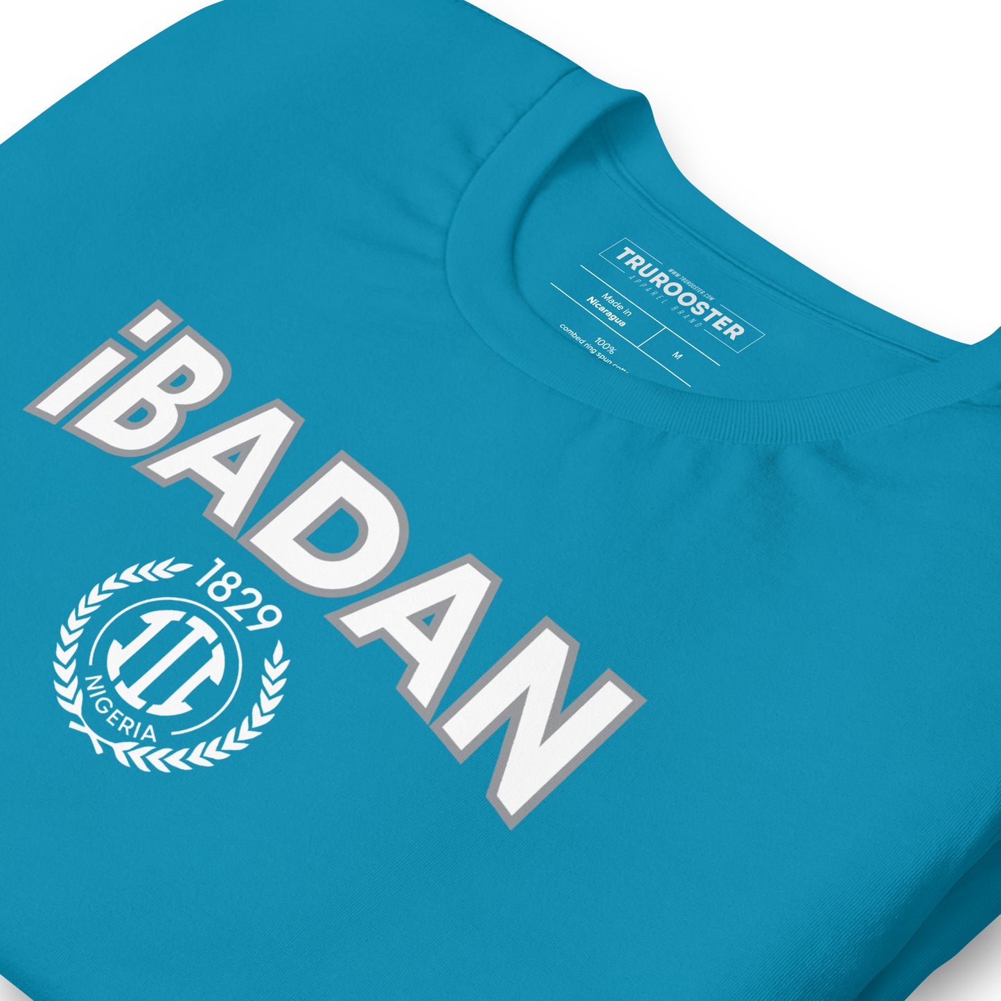 Ibadan Nigeria Unisex t-shirt